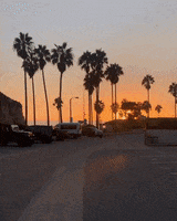 Beach Life GIF by NOSAM