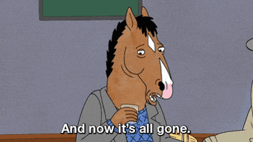 Bojack Horseman Netflix GIF Bojack Horseman Netflix GIF
