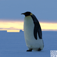 Walking Alone GIF by BBC America Walking Alone GIF by BBC America