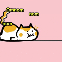 Nom Nom Cat GIF by Poku Meow