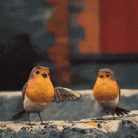 Robin Redbreast GIF by Redbreast Irish Whiskey