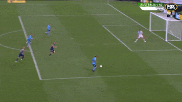 Assist Sydney Fc GIF by Hyundai A-League