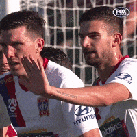 A League Football GIF by Hyundai A-League