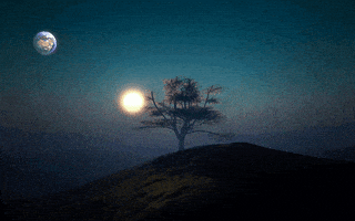 morphing science fiction GIF by FaraOana