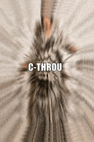 Fashion Brand GIF by CTHROU