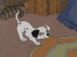 Walt Disney Animation Studios Puppy GIF by Disney