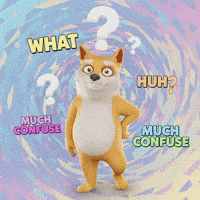 Shiba Inu What GIF by Doge Pound