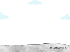 raining cats and dogs GIF by Red & Howling