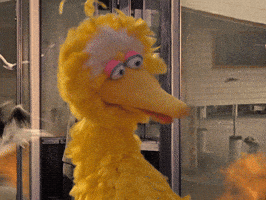 Sesame Street Fire GIF by Bell Brothers