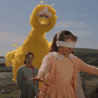 Sesame Street Bird GIF by Bell Brothers