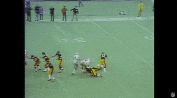 Pittsburgh Steelers GIF by NFL