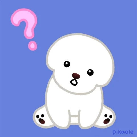 Question Mark What GIF