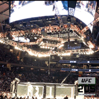 ufc 205 GIF