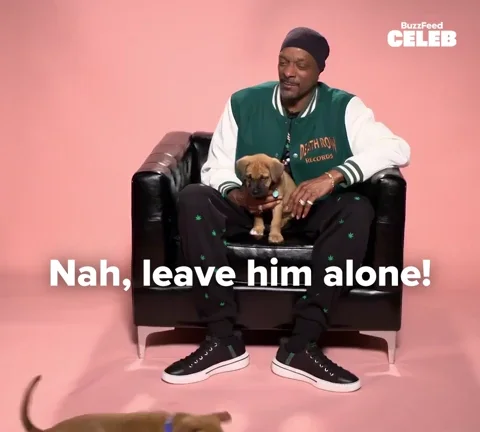 Snoop Dogg Puppies GIF