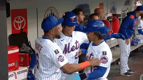 Celebrate Home Run GIF