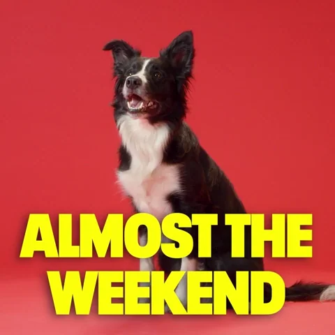 Excited Its Friday GIF