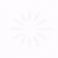 Hanuman Jayanti GIF by midnightcake