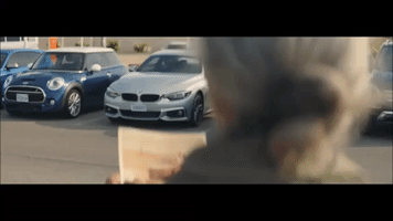 car valentinesfairytale GIF by Sixt