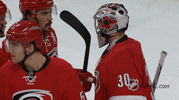 Ice Hockey GIF by NHL