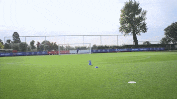 Three Lions Football GIF by England