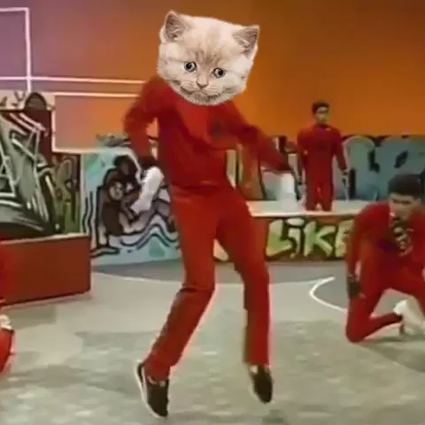 Happy What The GIF