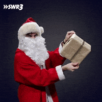 Happy Merry Christmas GIF by SWR3