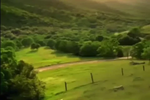 Scared Jump Scare GIF