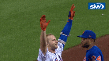 Celebrate Home Run GIF by SNY