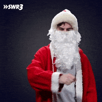 Happy Merry Christmas GIF by SWR3