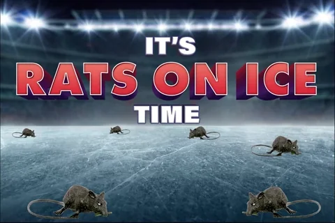 Florida Panthers Sport GIF