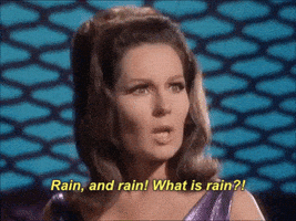 rainy day rain GIF by The Belmont Goats