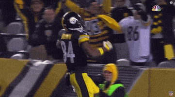 Pittsburgh Steelers GIF by NFL
