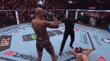 Alex Pereira Sport GIF by UFC
