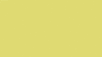 comedy central summer GIF by CsaK