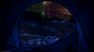 Camping Northern Lights GIF