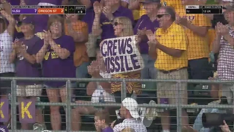Baton Rouge Baseball GIF