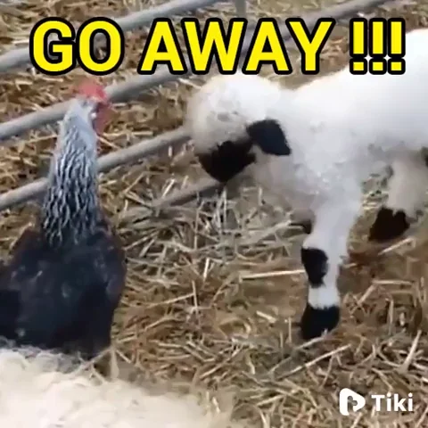 Happy Go Away GIF