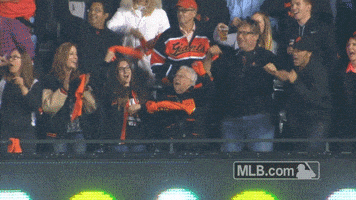 sf 137 GIF by MLB