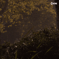 Season 8 Showtime GIF by Dexter