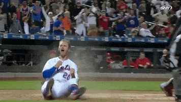new york mets celebration GIF by SNY