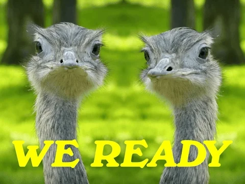 You Got This Lets Go GIF