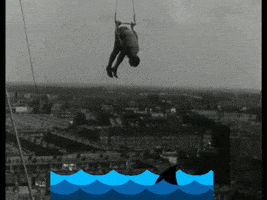 Shark Just Hold On GIF by GIF IT UP