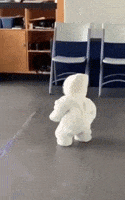 Kid Omg GIF by JustViral.Net
