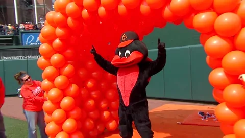 Mascot Orioles2019 GIF