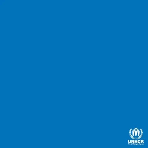 United Nations Volunteer GIF