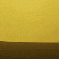 Stop Motion Coffee GIF by cintascotch