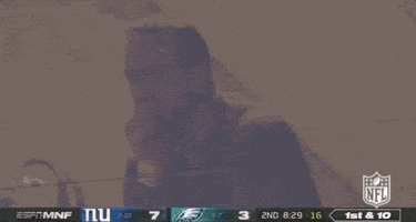 2019 Nfl Football GIF by NFL