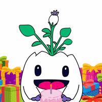 Happy Birthday Smile GIF by Magic Eden