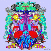 birds psychedelic art GIF by Grande Dame