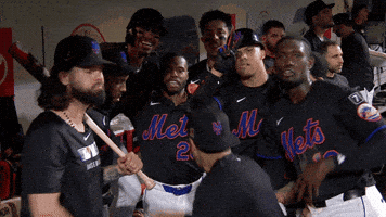 Celebrate Home Run GIF by New York Mets